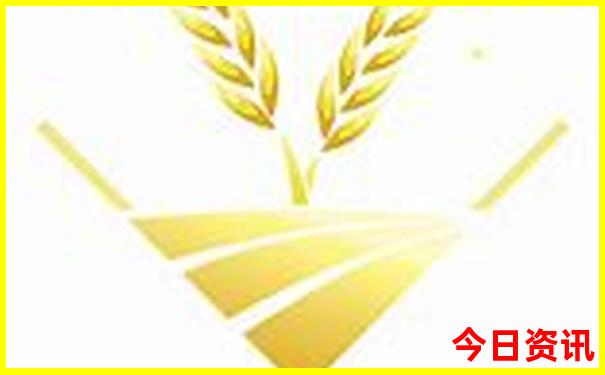 新泰有什么好玩的地方旅游景点